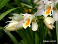 DSCN5119_klein