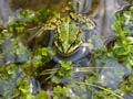 DSCN9555_klein