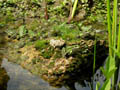 DSCN9621_klein